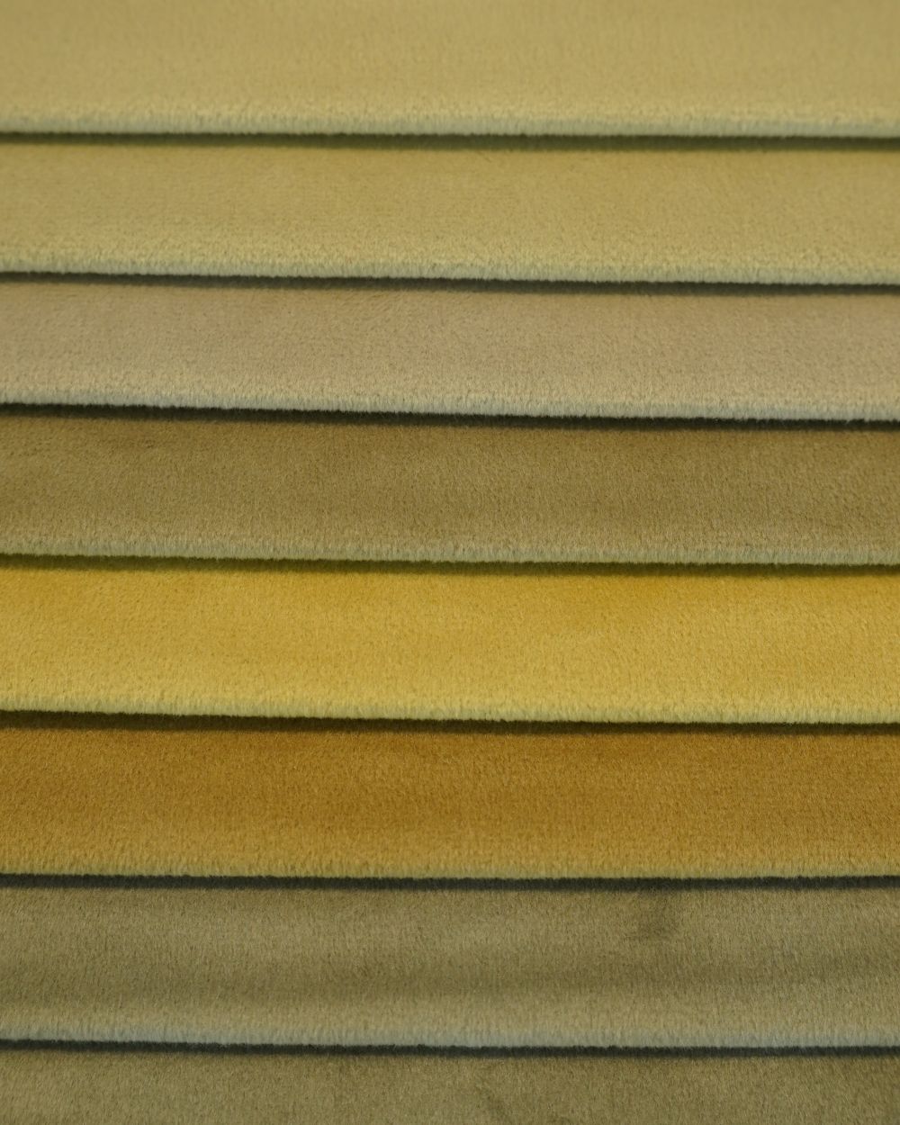Catifea VelvetBK — Multicolor