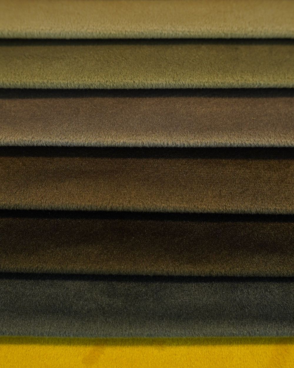 Liso — Multicolor